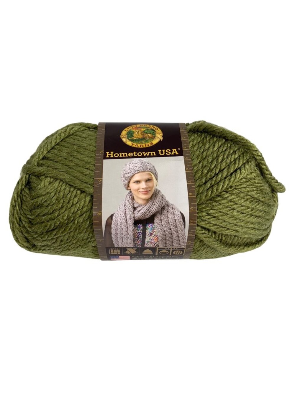 FIVE NWT Lion Brand Yarn 135-176 Hometown Bulky Yarn, Galveston Green USA 81YD/M